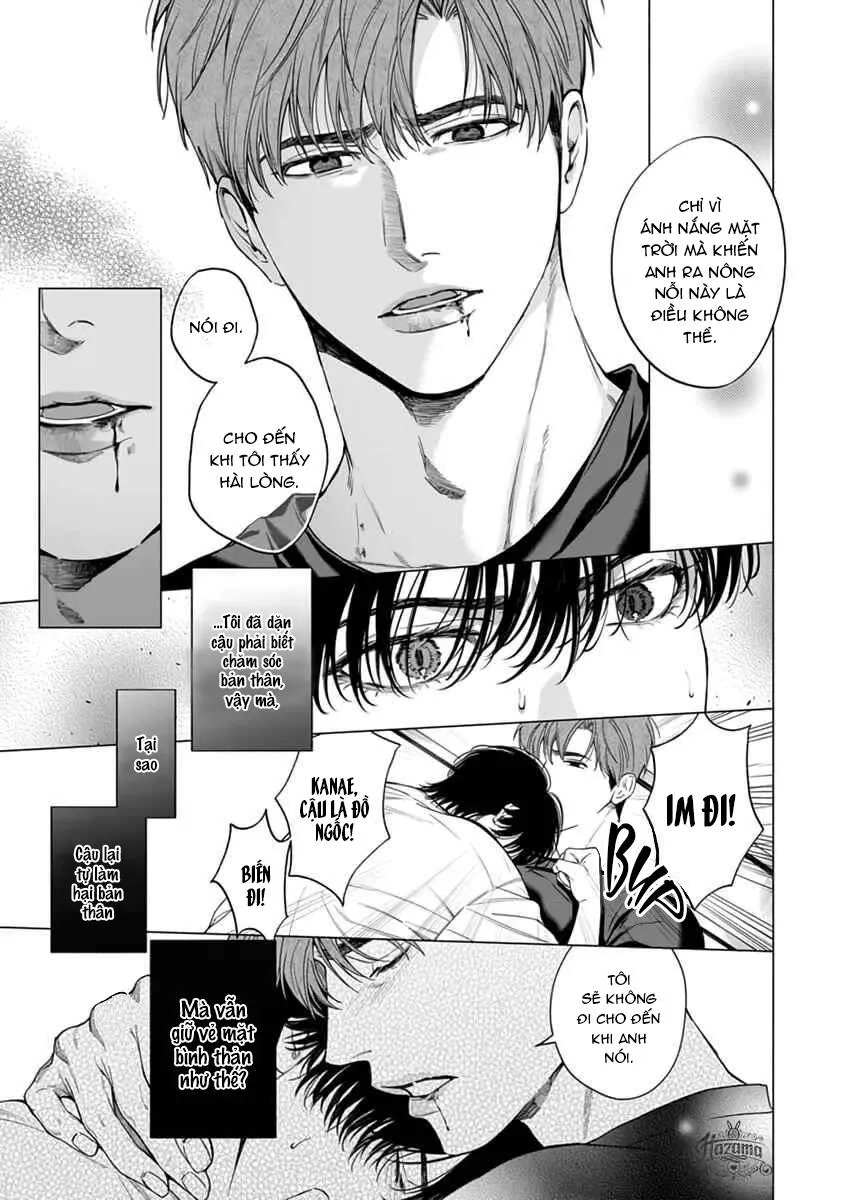 Viên Grarnet Trong Bóng Tối Chapter 5 Trang 15