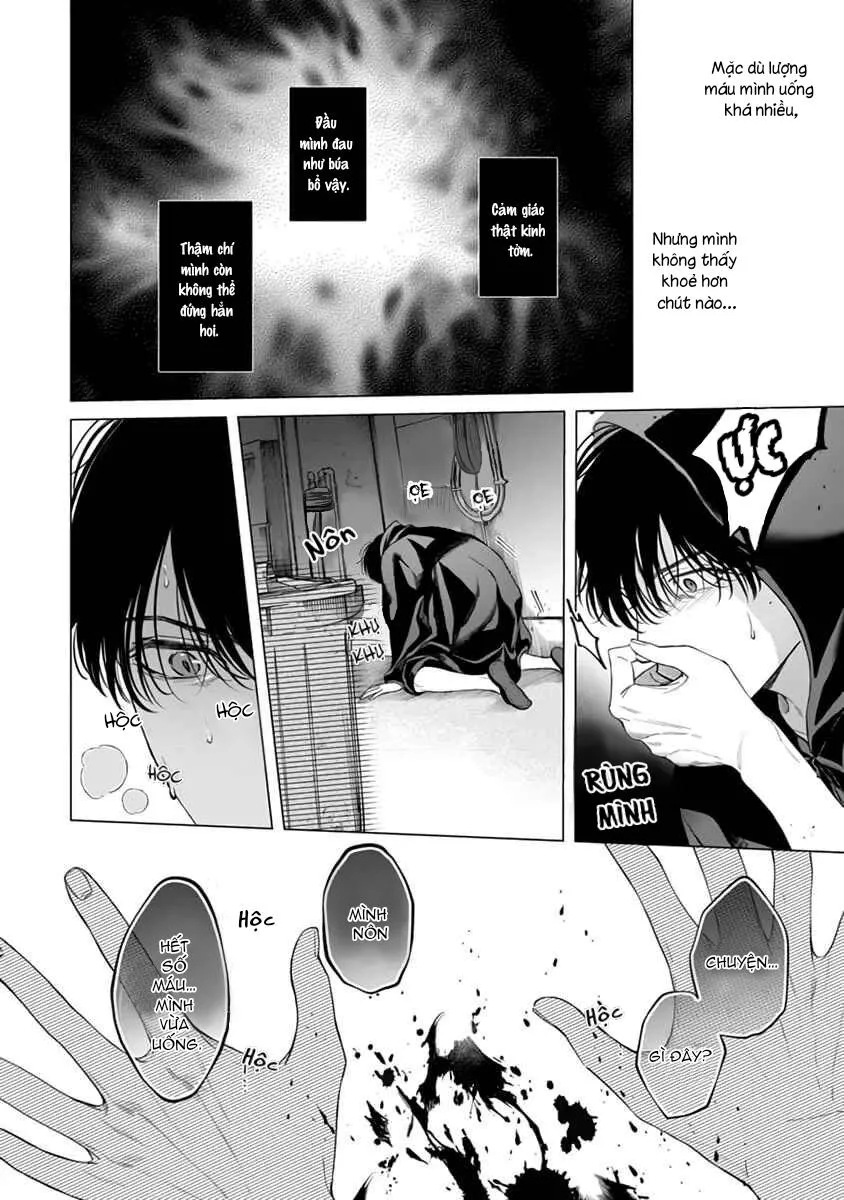 Viên Grarnet Trong Bóng Tối Chapter 6 Trang 12