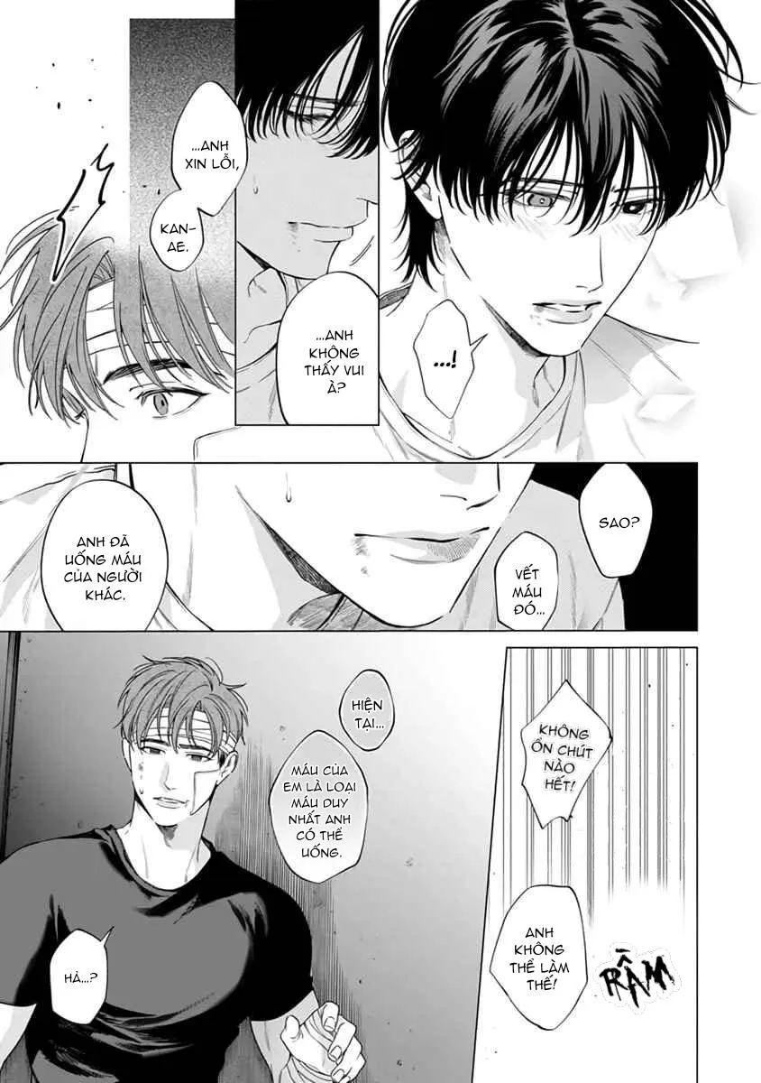 Viên Grarnet Trong Bóng Tối Chapter 6 Trang 19