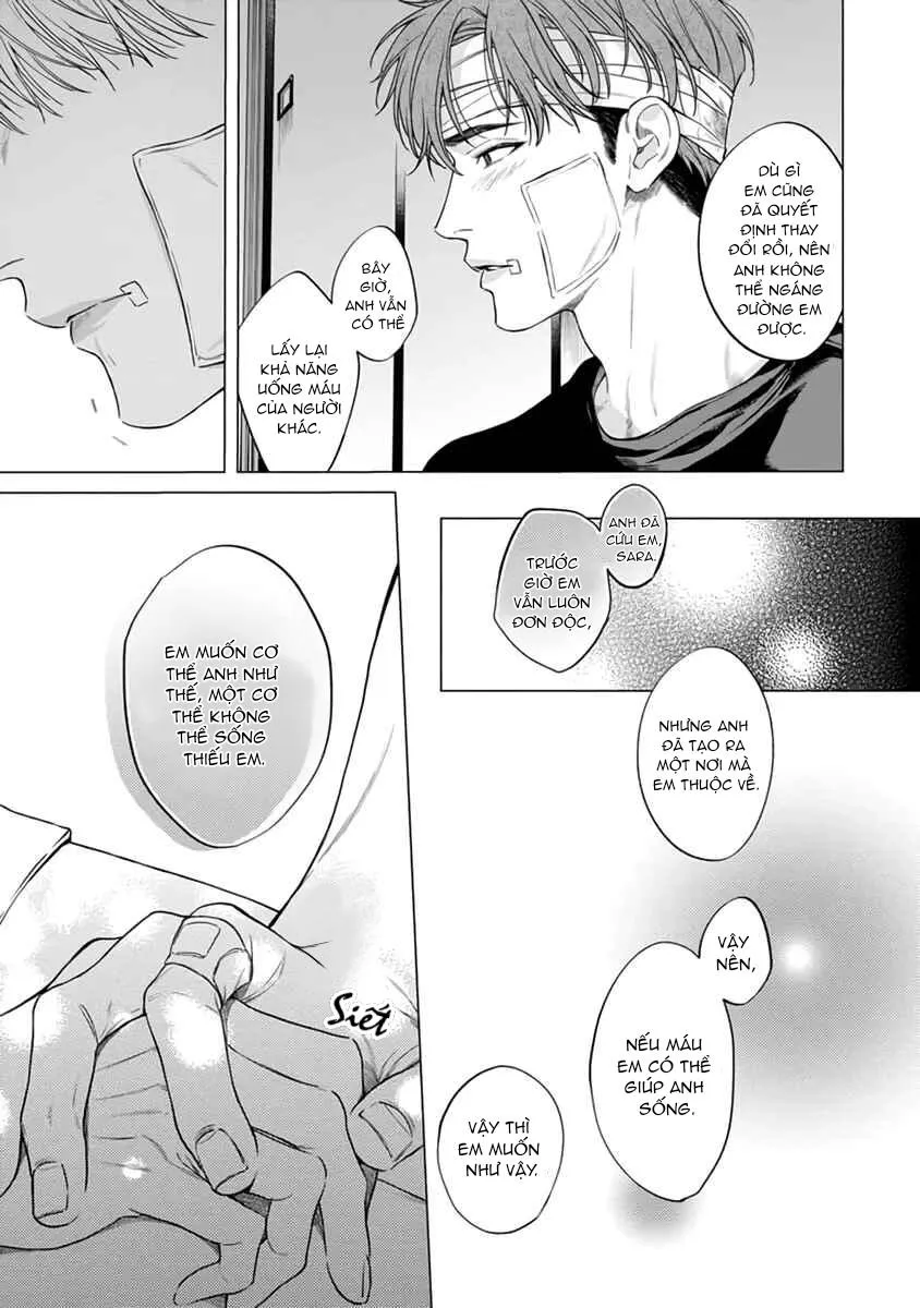 Viên Grarnet Trong Bóng Tối Chapter 6 Trang 21