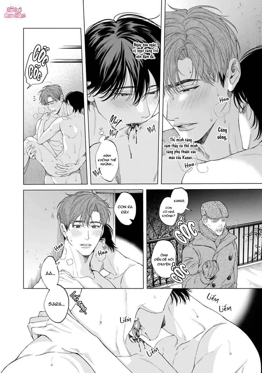 Viên Grarnet Trong Bóng Tối Chapter 7 Trang 8