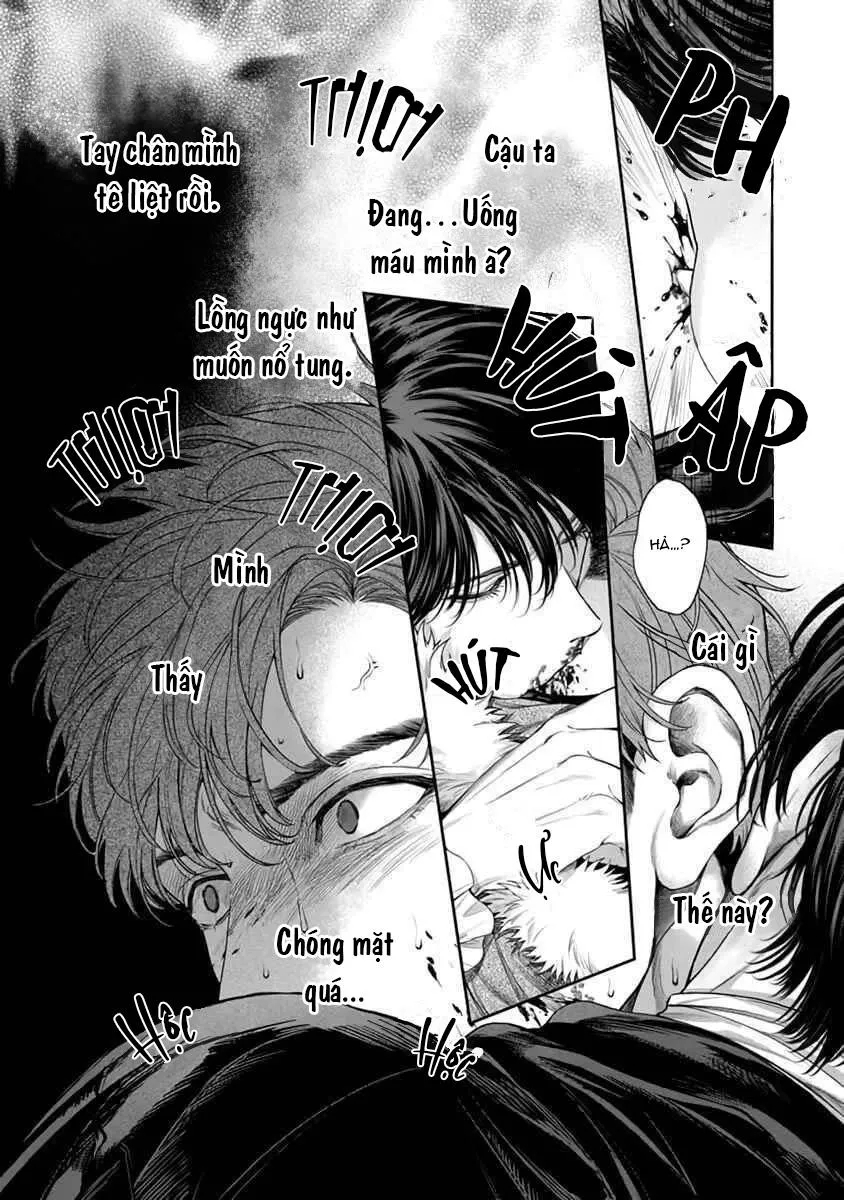 Viên Grarnet Trong Bóng Tối Chapter 1 Trang 10