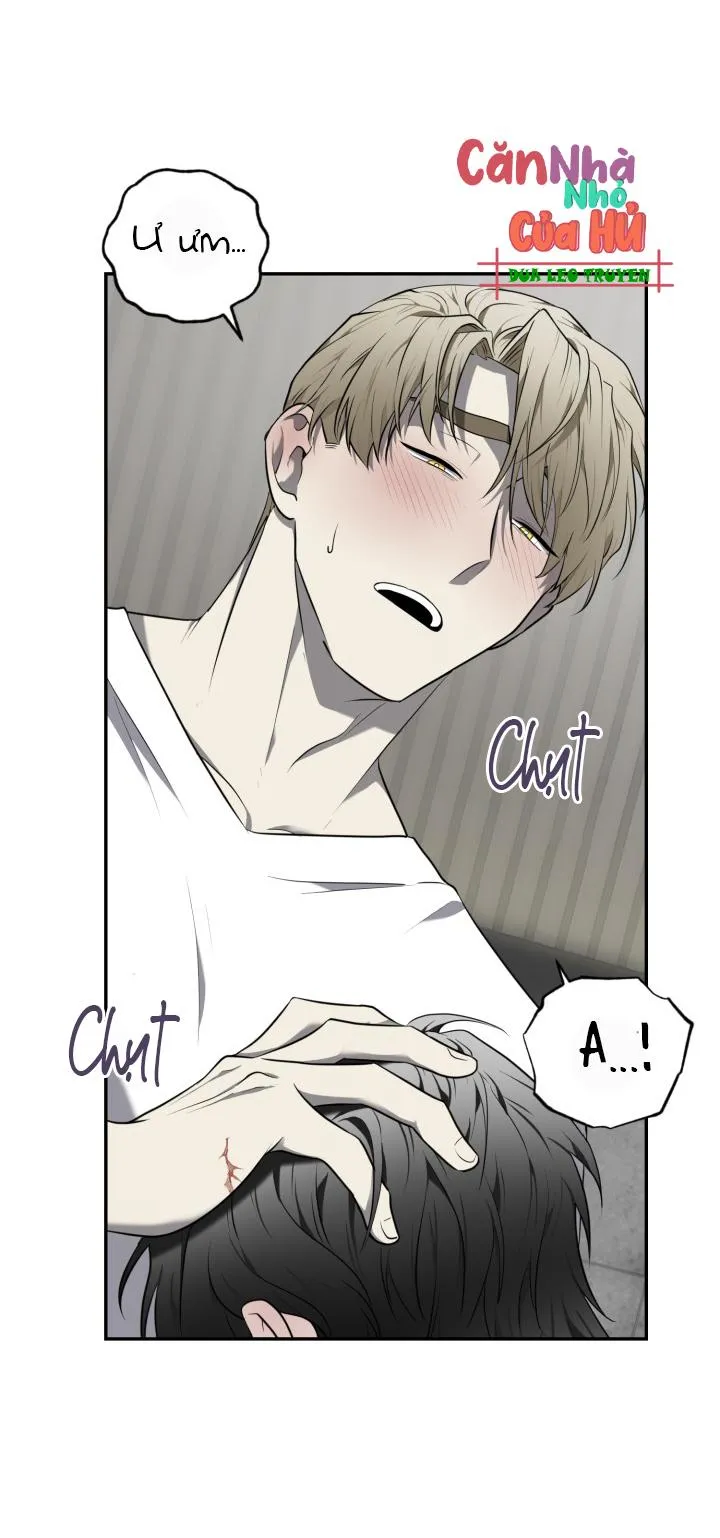 VIVARIUM Chapter 35 Trang 7