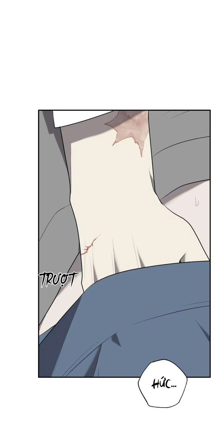 VIVARIUM Chapter 38 Trang 13