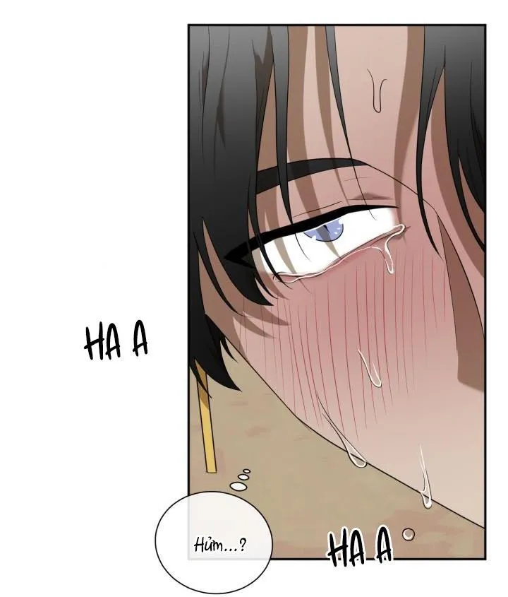 VIVARIUM Chapter 51 Trang 57