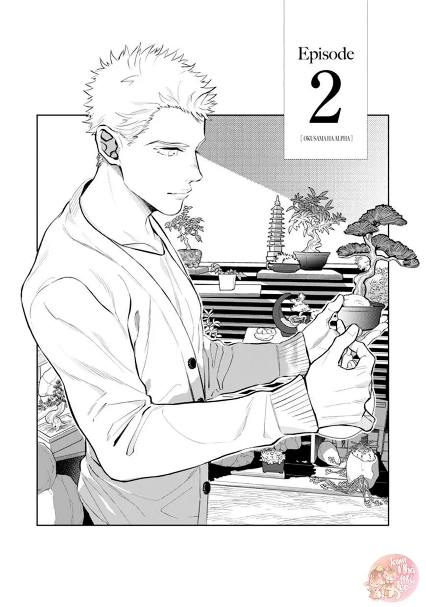 Vợ Của Alpha Chapter 2 Trang 4