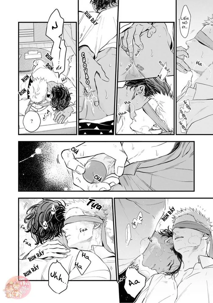 Vợ Của Alpha Chapter 3 Trang 14