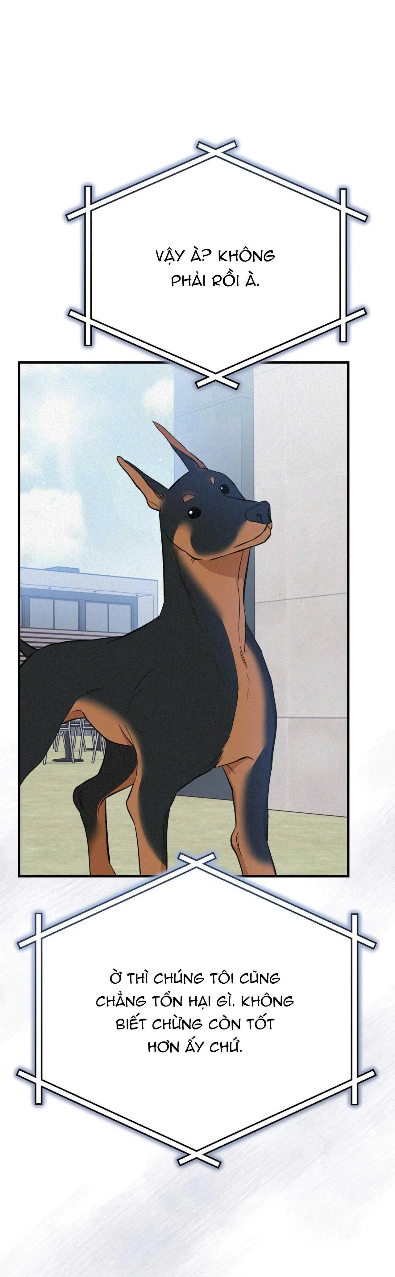 VÔ HÌNH Chapter 53 Trang 17