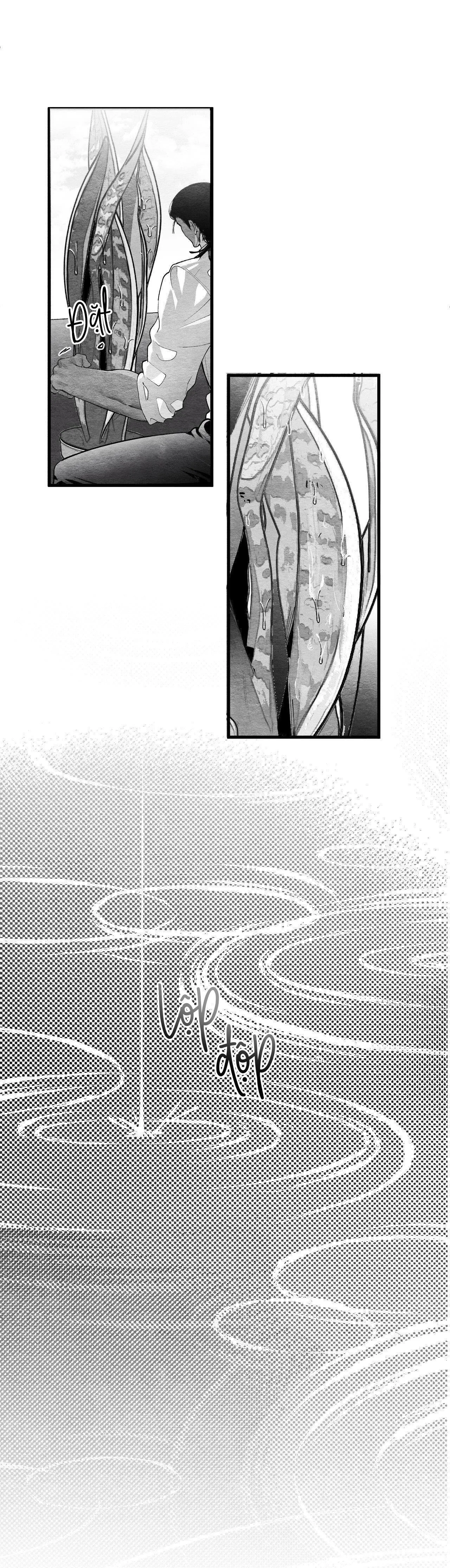 Vóc Dáng Toàn Mỹ Chapter 12 Trang 26