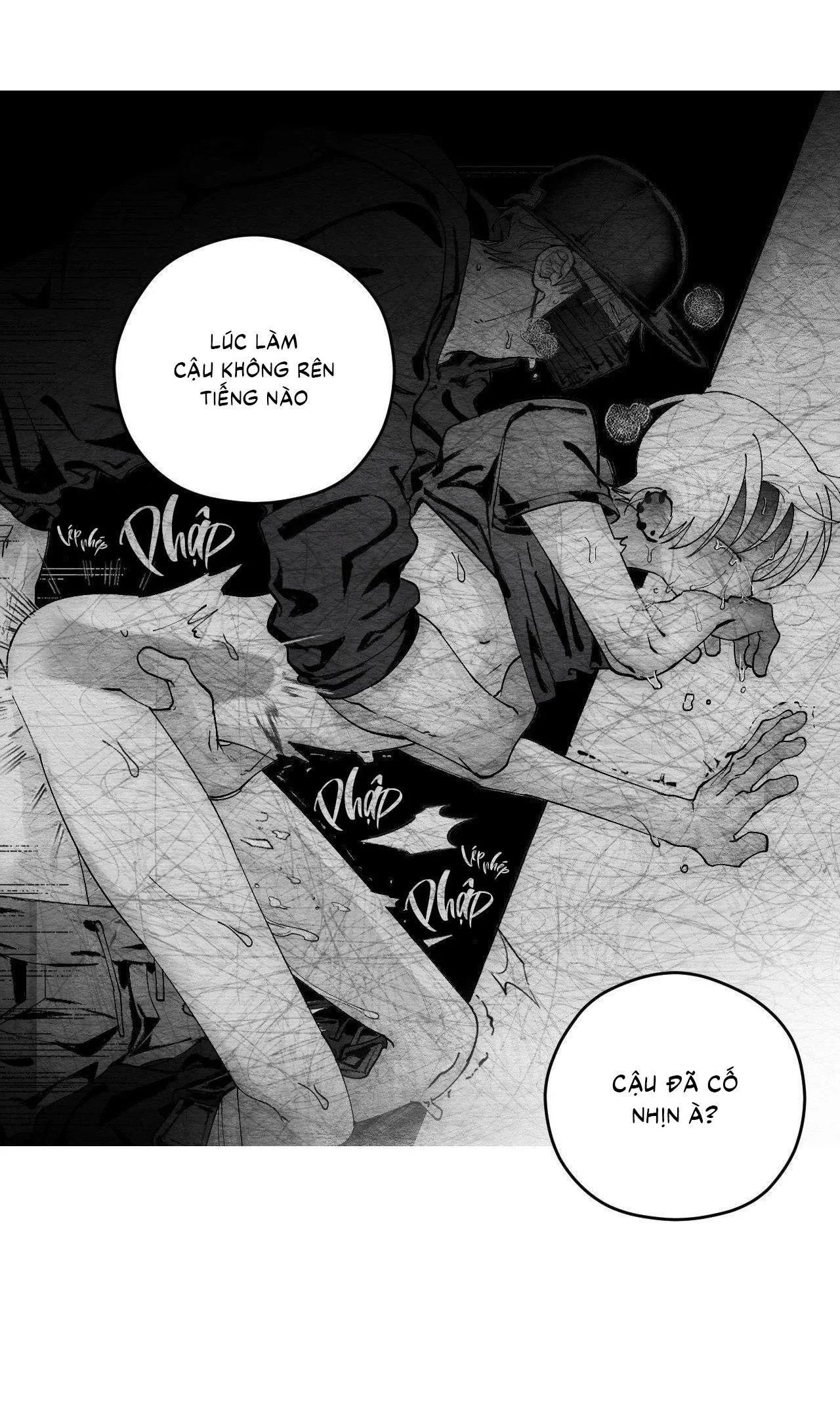 Vóc Dáng Toàn Mỹ Chapter 15 Trang 64