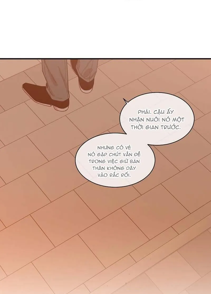 Vòng tròn cạm bẫy Chapter 13 Trang 11