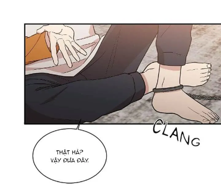 Vòng tròn cạm bẫy Chapter 15 Trang 35