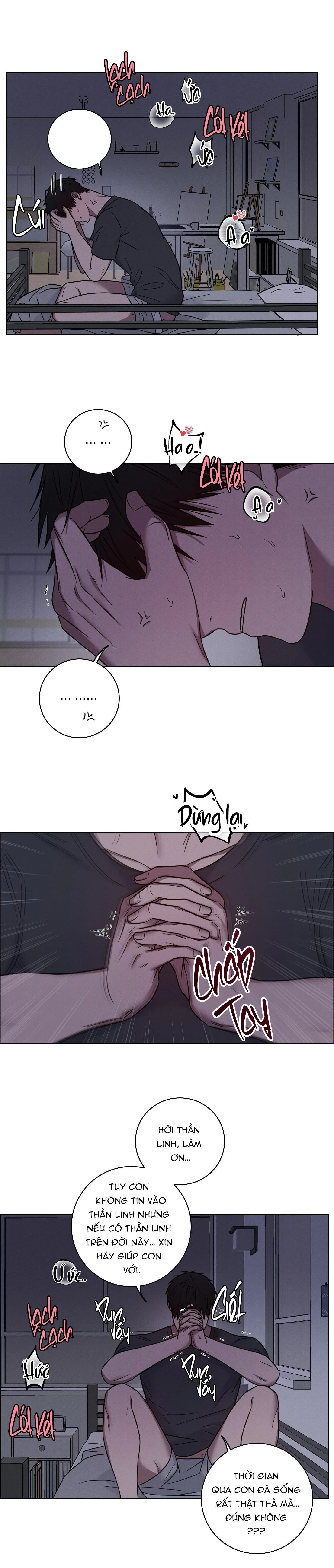 VỤ ÁN CON CU BIẾN MẤT Chapter 2 Trang 3