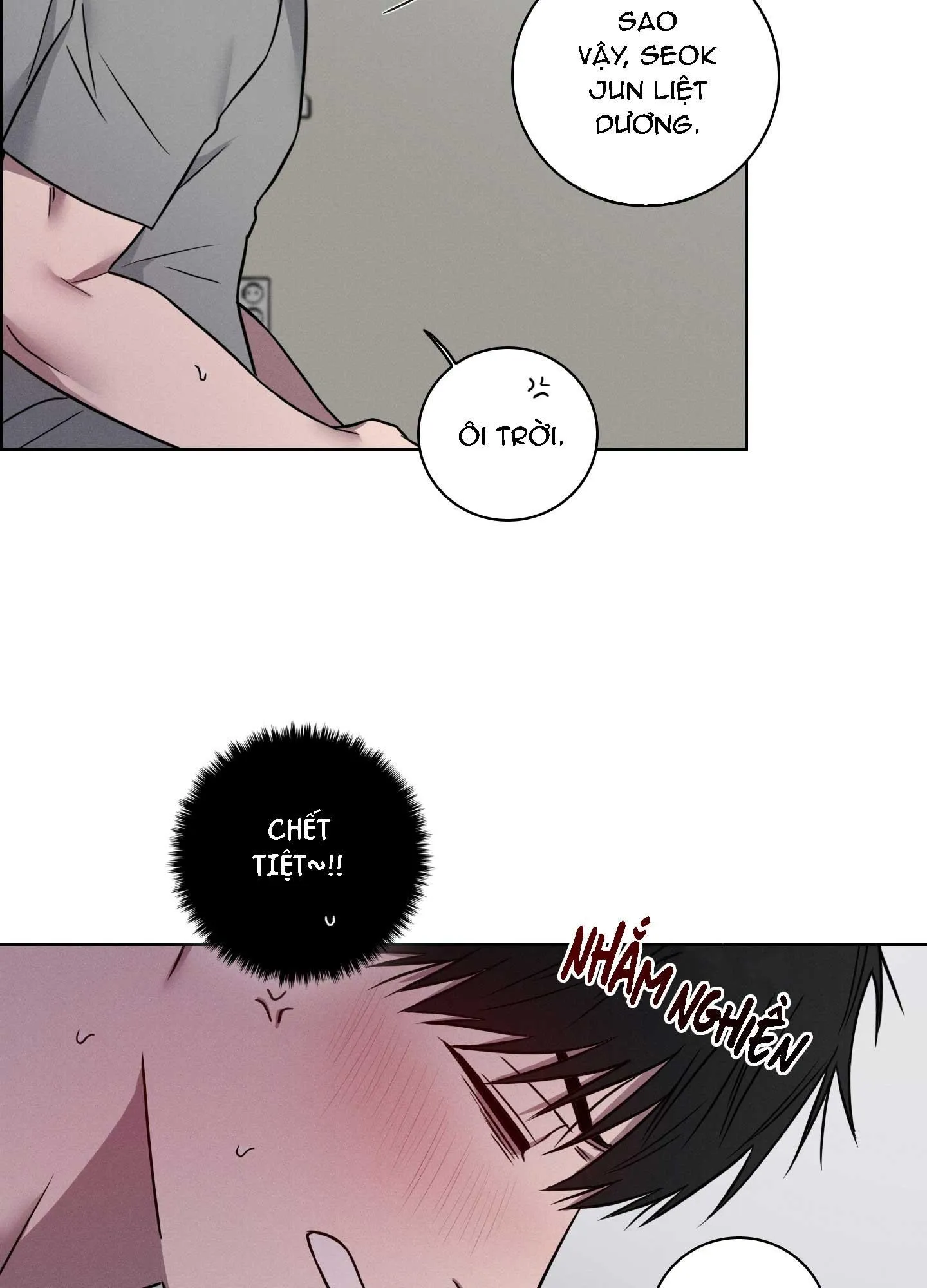 VỤ ÁN CON CU BIẾN MẤT Chapter 9 Trang 17