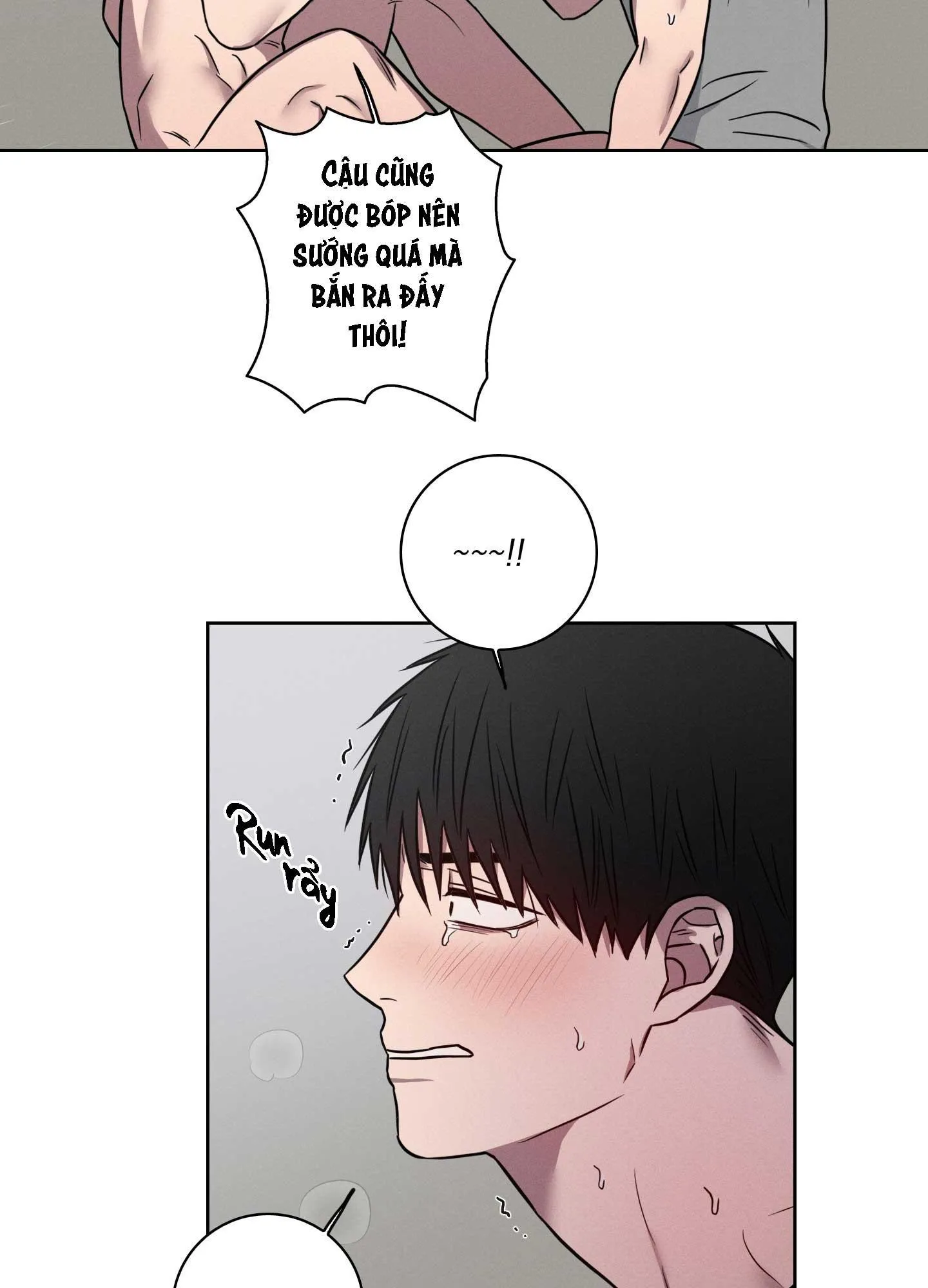 VỤ ÁN CON CU BIẾN MẤT Chapter 9 Trang 54