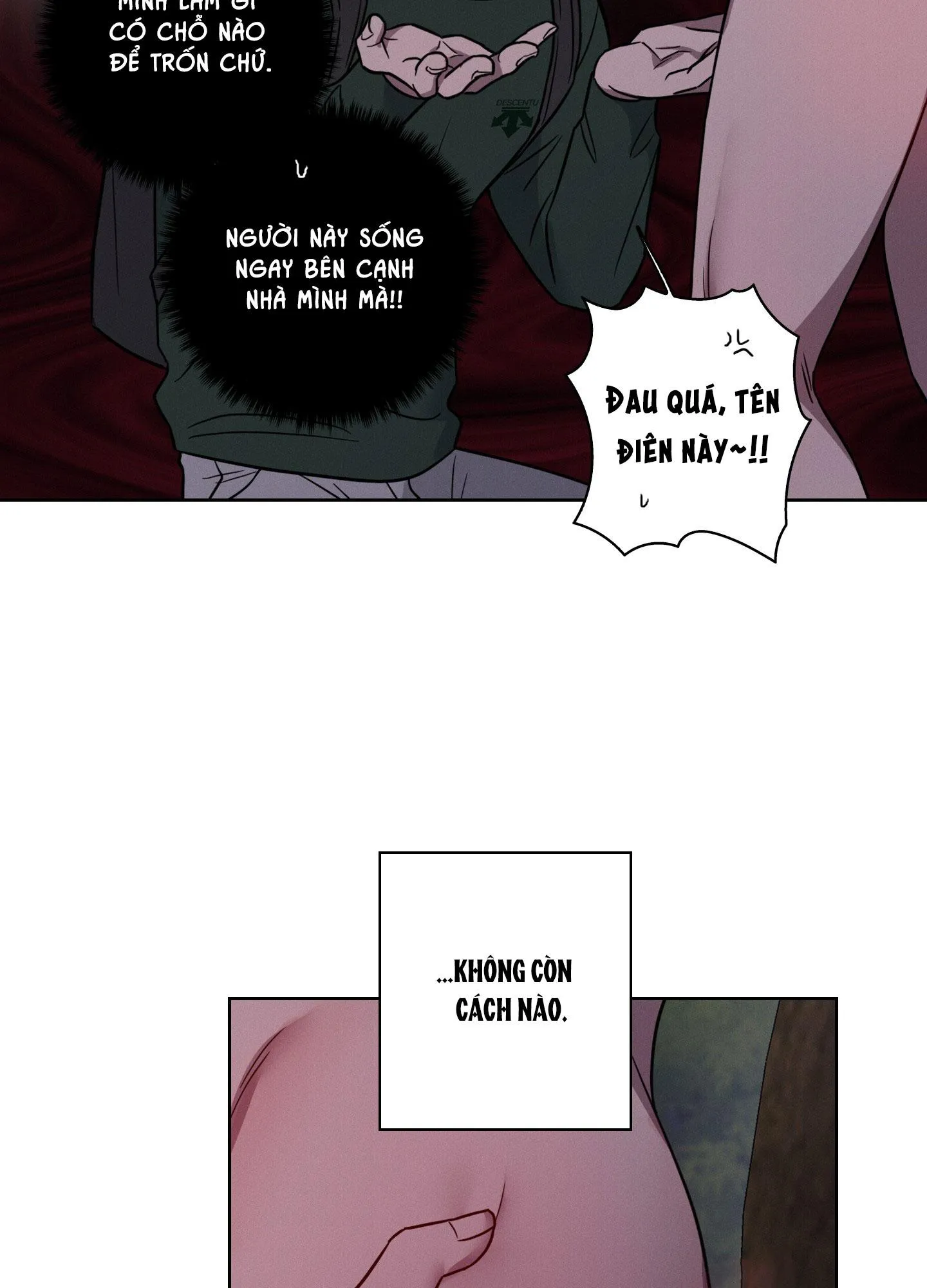 VỤ ÁN CON CU BIẾN MẤT Chapter 12 Trang 10