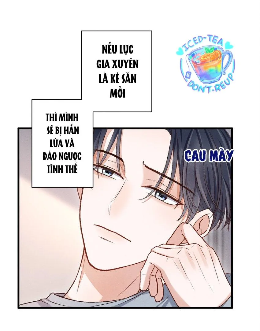 Vua hình tượng Chapter 16 Trang 22