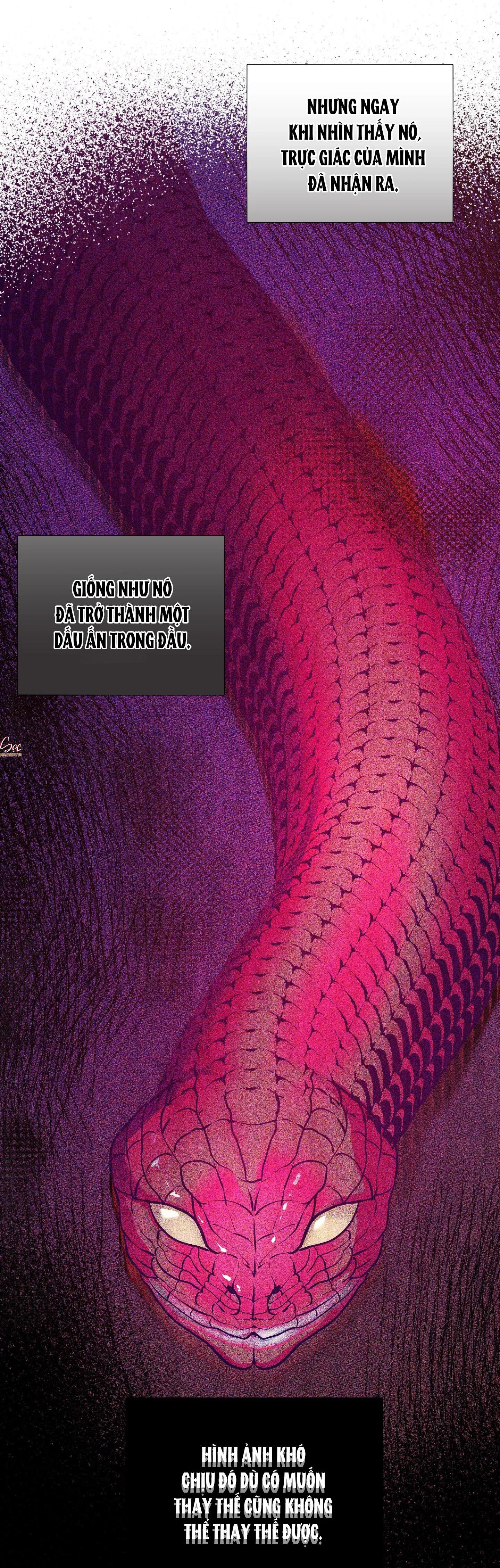 VỰC RẮN Chapter 23 Trang 22