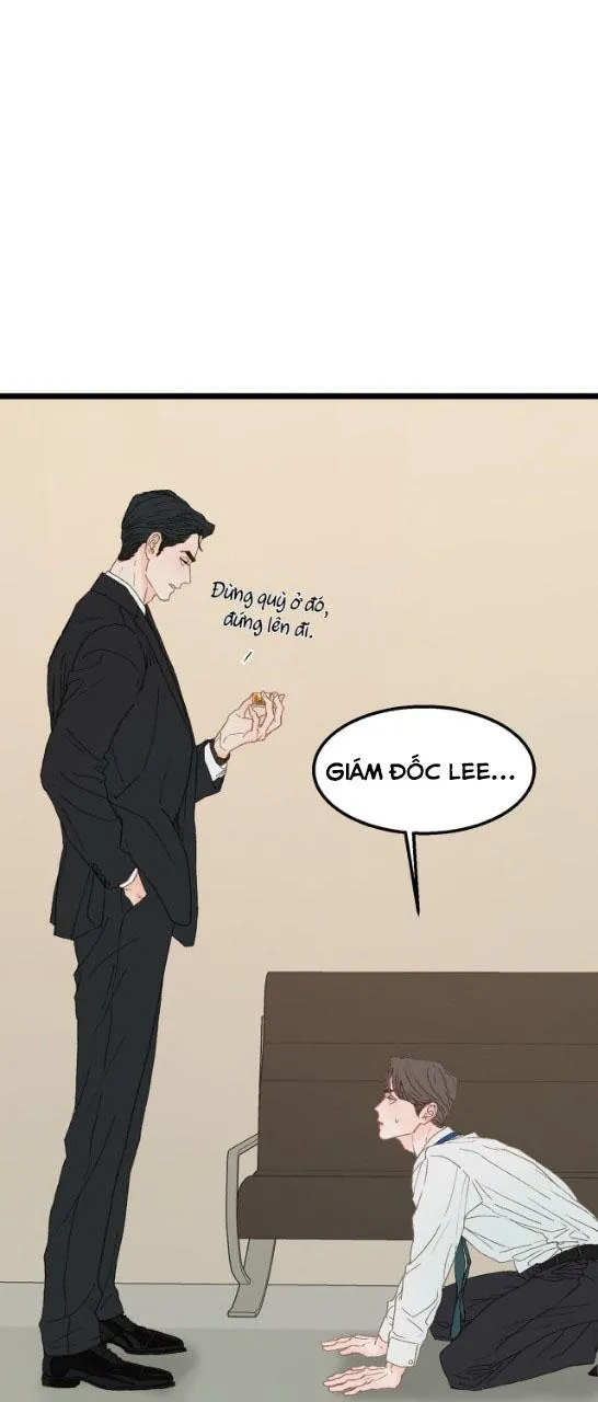 Vùng Cấm Tình Yêu Chapter 2 Trang 24