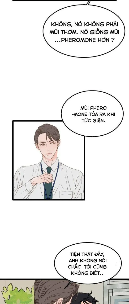 Vùng Cấm Tình Yêu Chapter 2 Trang 46