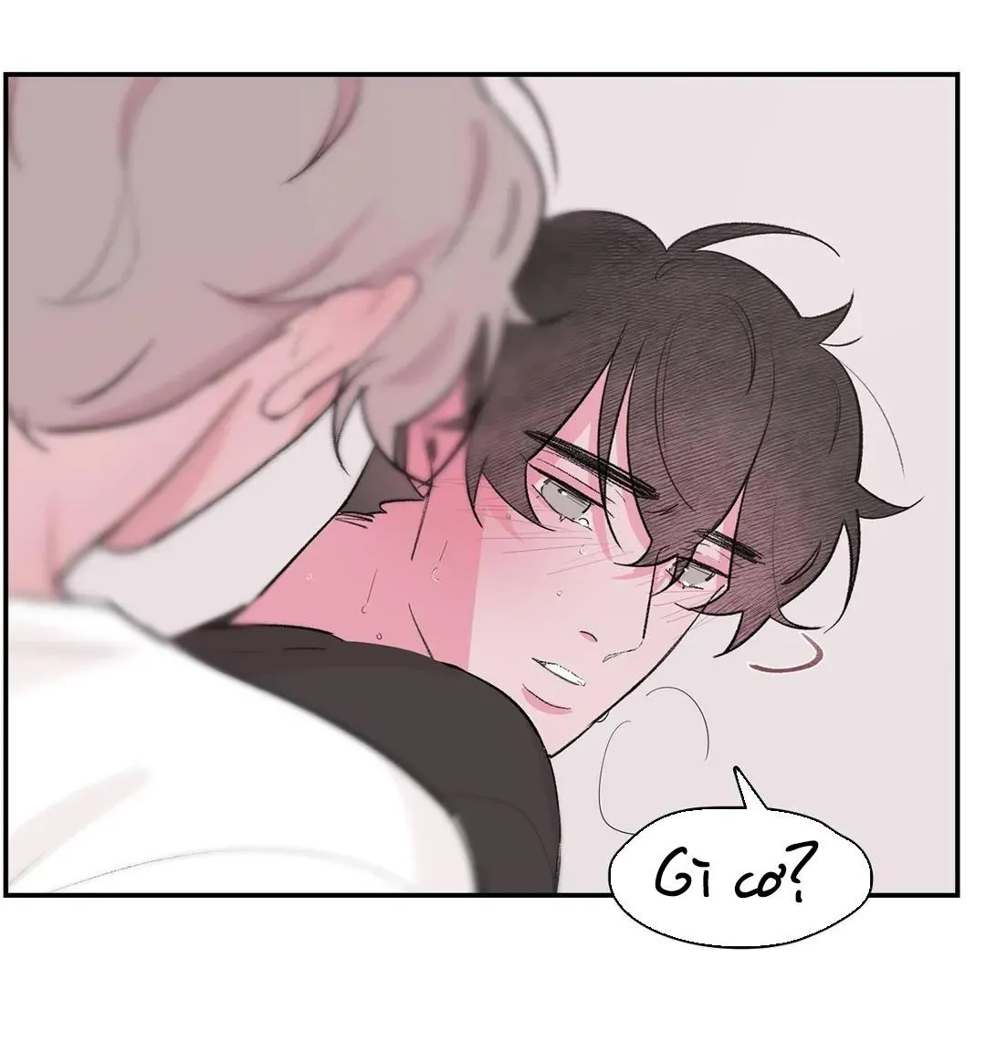 Vùng Đỏ Chapter 72 Trang 23