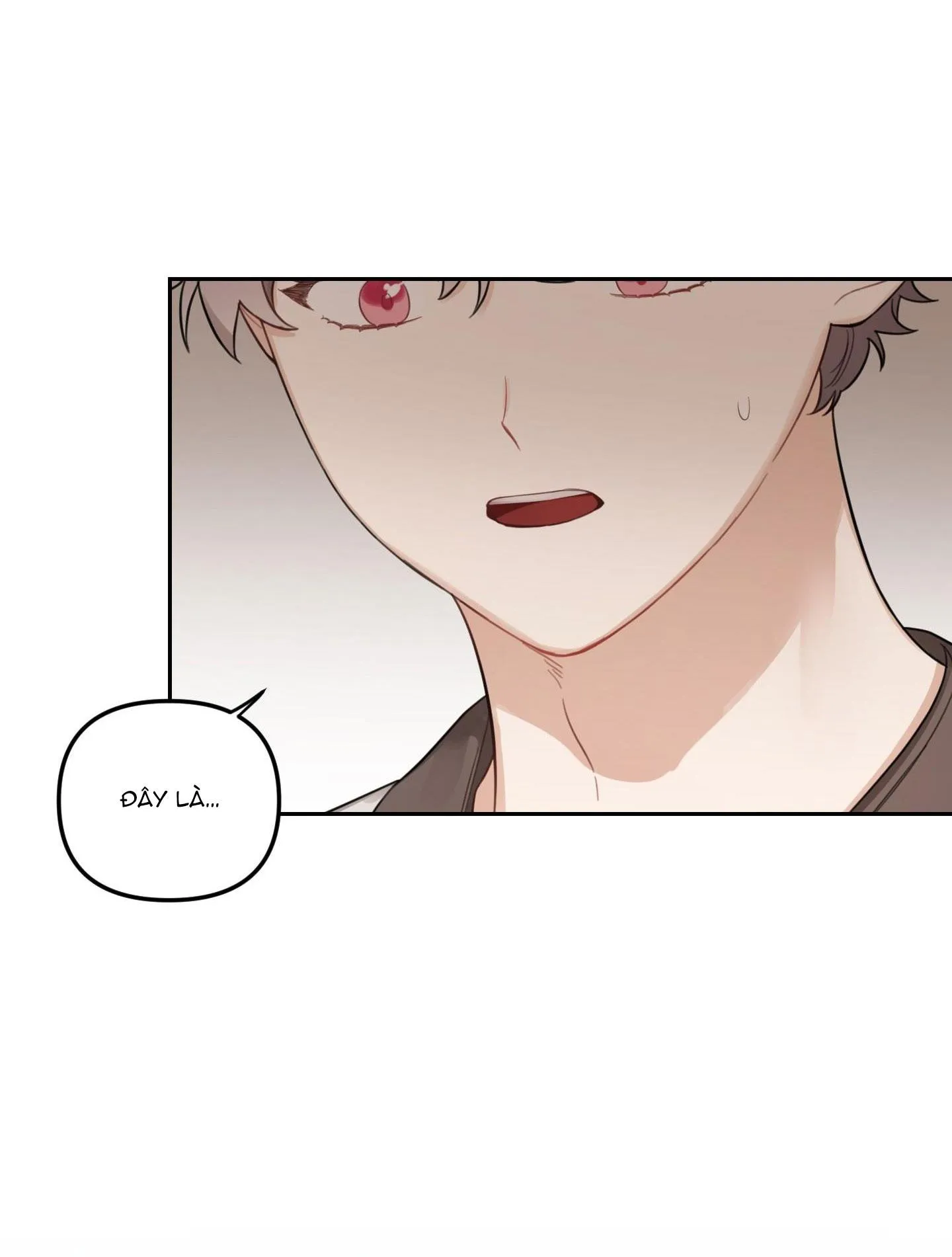 VƯỜN HOA Chapter 32 Trang 14