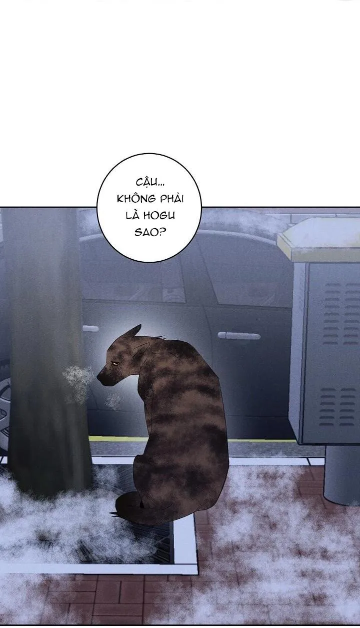 Wander off (Lang Thang) Chapter 9 Trang 62