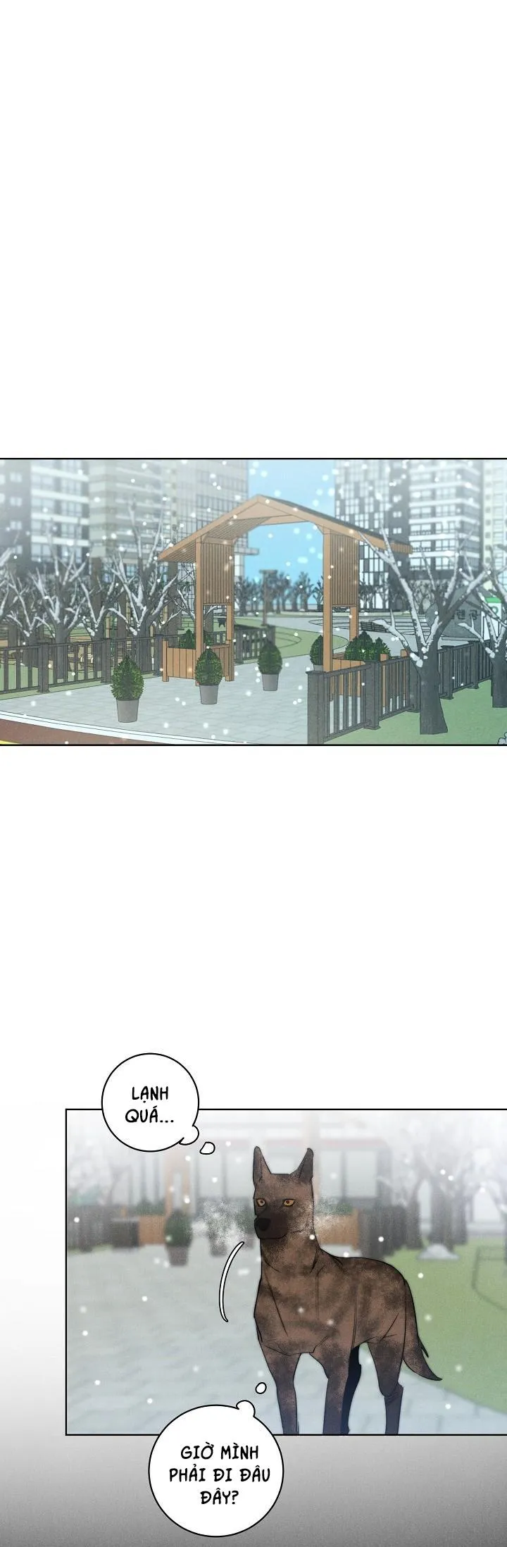 Wander off (Lang Thang) Chapter 11 Trang 11