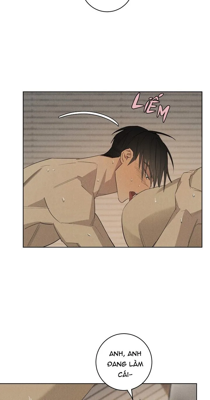 Wander off (Lang Thang) Chapter 12 Trang 3