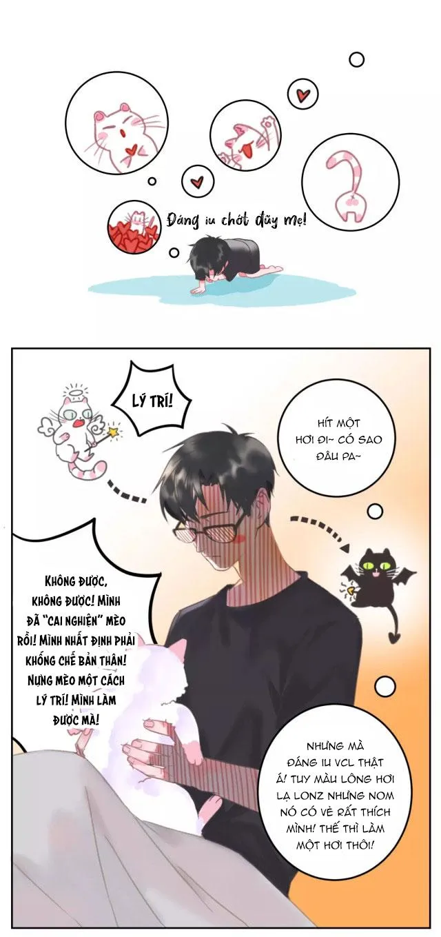 Xã Hội Mồn Lèo Chapter 1 Trang 14