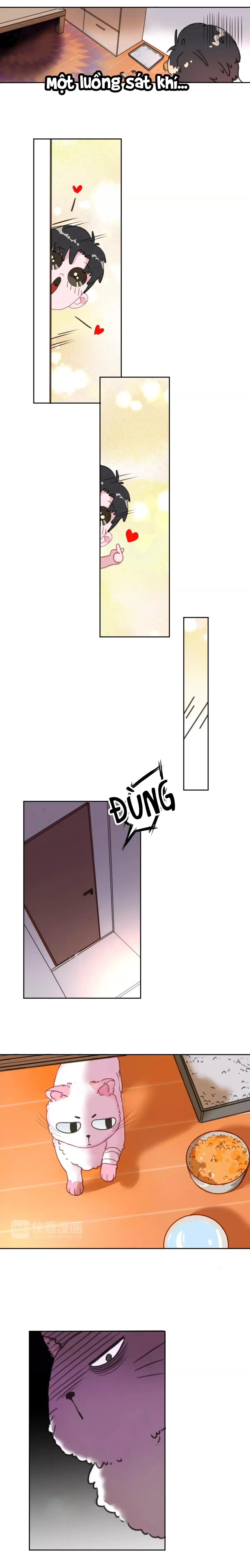 Xã Hội Mồn Lèo Chapter 2 Trang 5