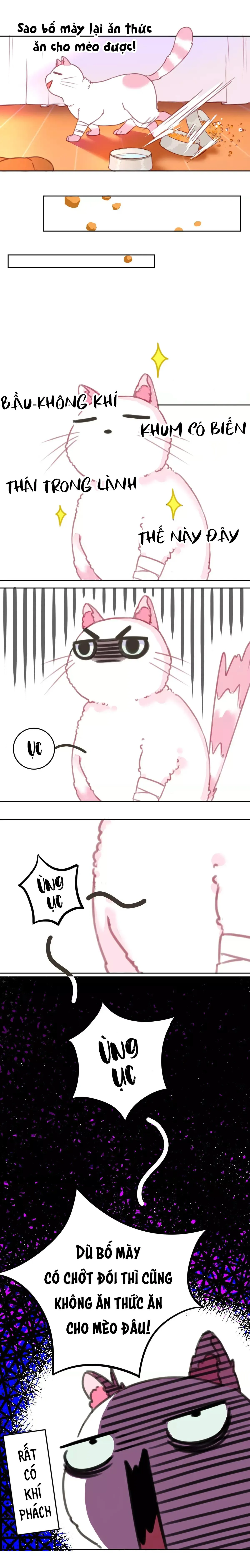 Xã Hội Mồn Lèo Chapter 2 Trang 6