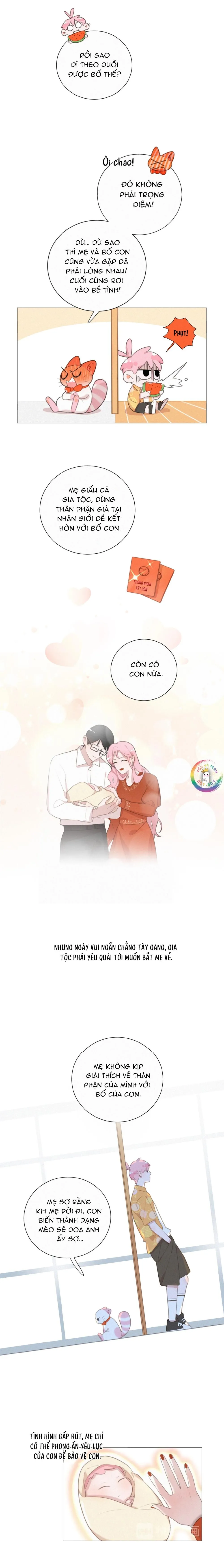 Xã Hội Mồn Lèo Chapter 77 Trang 6