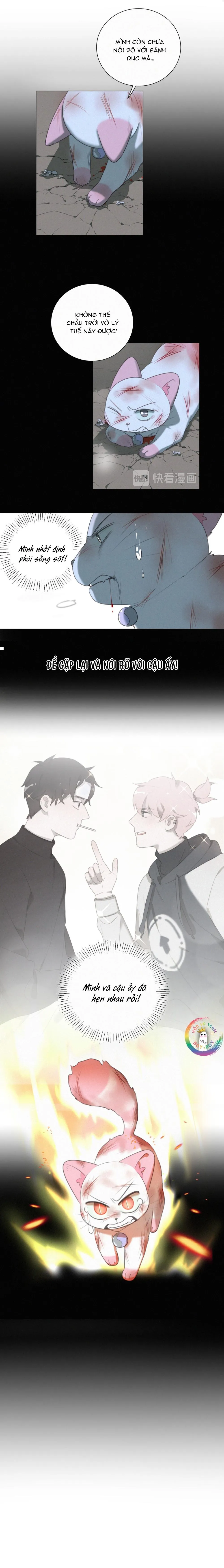 Xã Hội Mồn Lèo Chapter 82 Trang 9