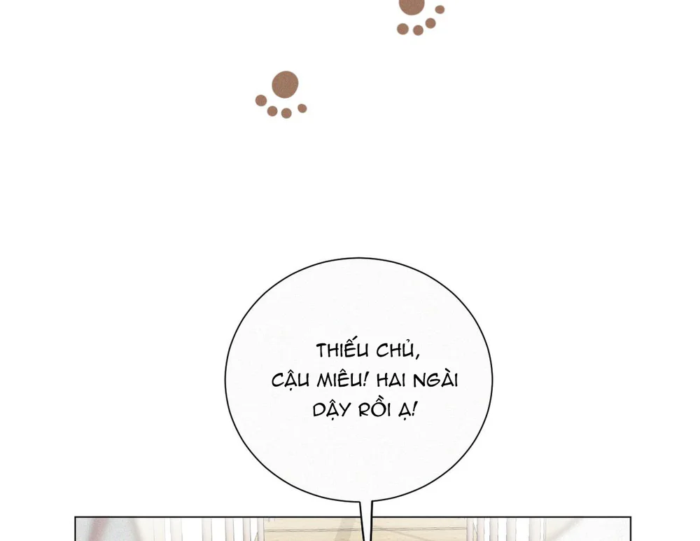 Xã Hội Mồn Lèo Chapter 91 Trang 16