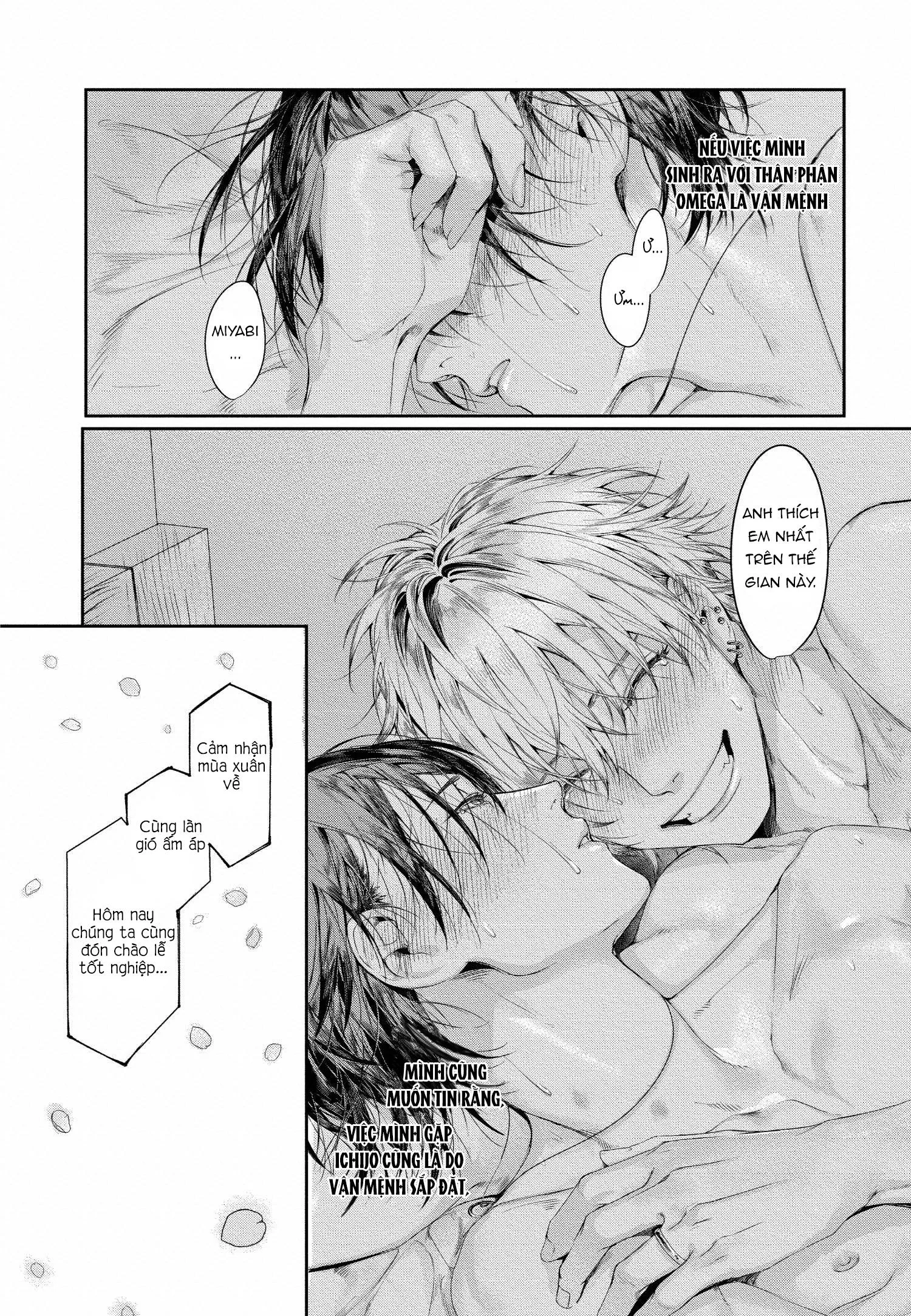 Xin Đừng Buông Tay Em Chapter 5 Trang 36