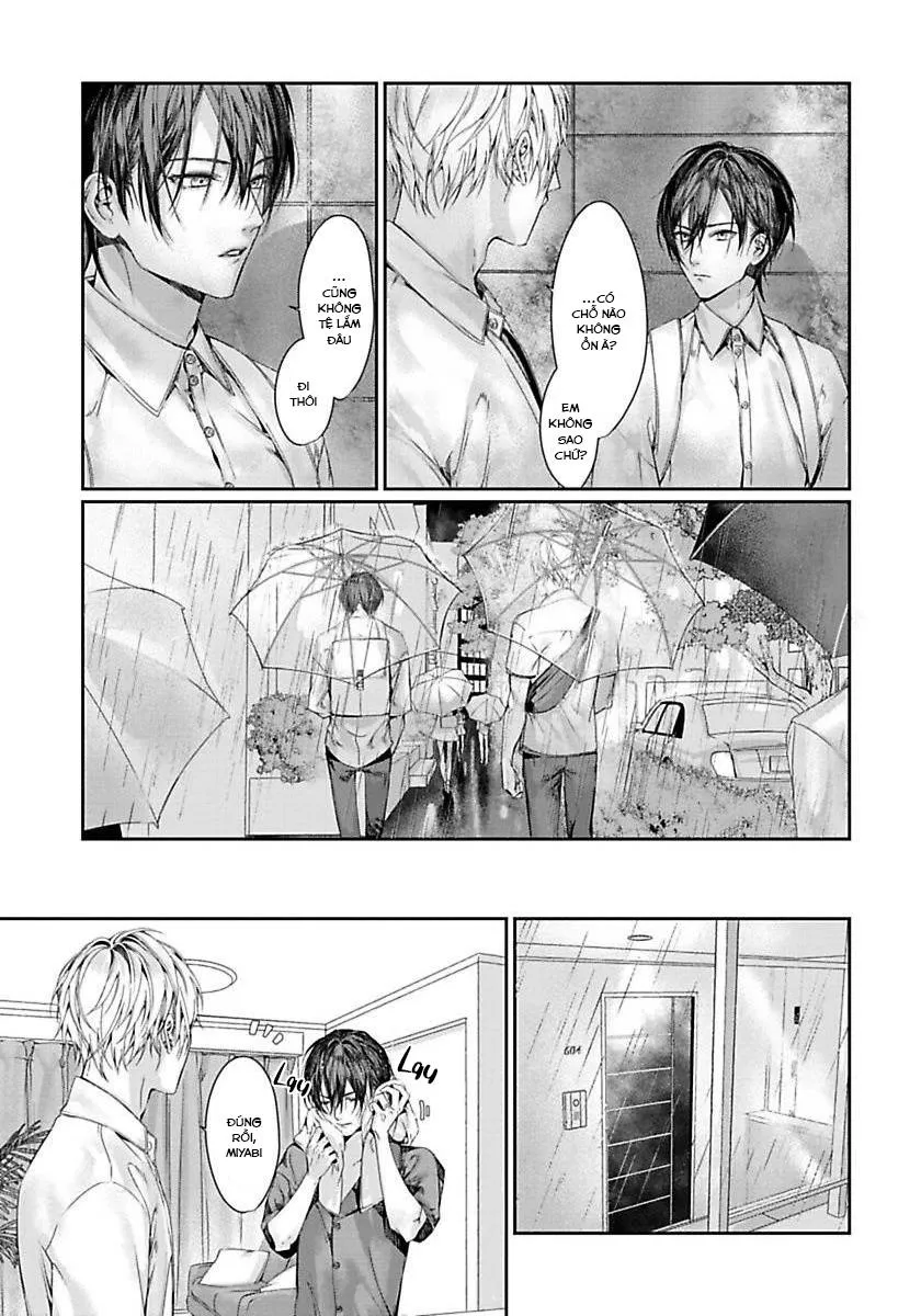 Xin Đừng Buông Tay Em Chapter 8 Trang 12