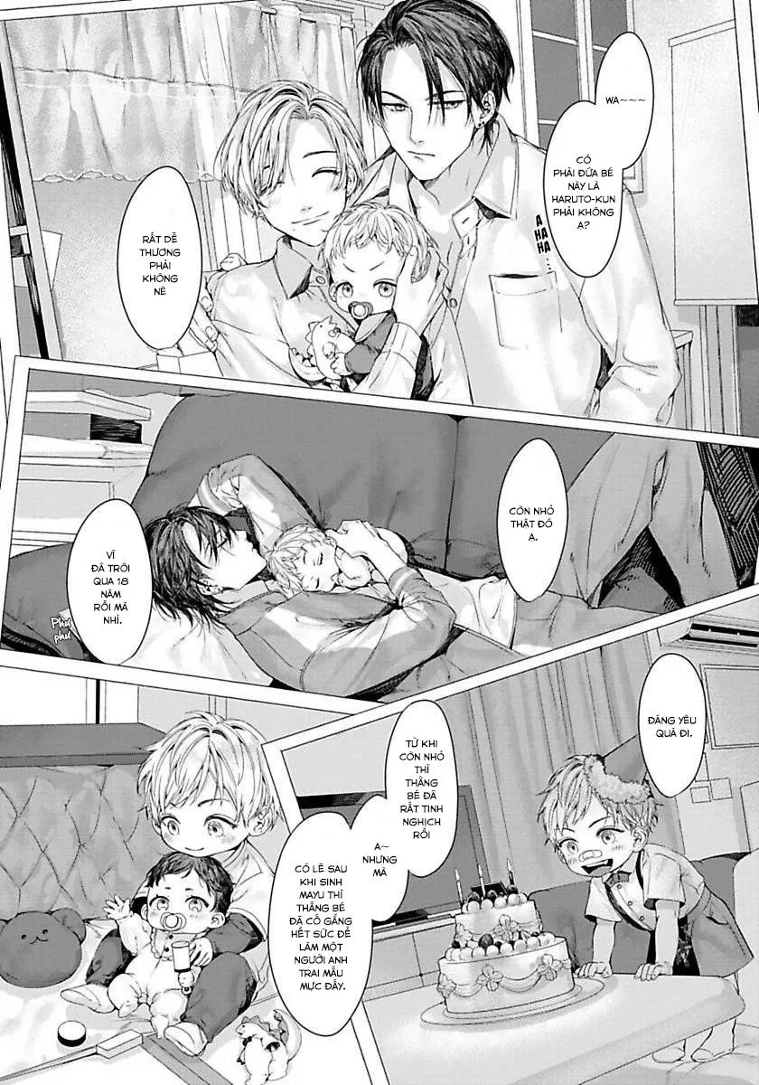 Xin Đừng Buông Tay Em Chapter 10 Trang 14