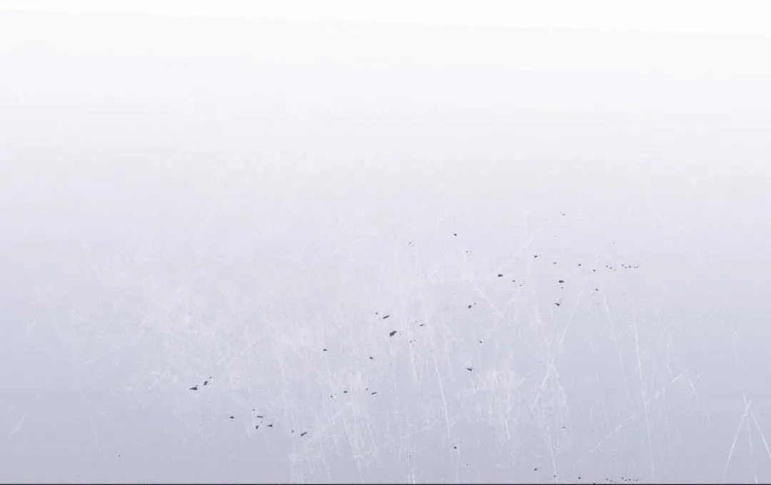 Xin Hãy Cho Thêm Than Vào Chapter 12 Trang 15