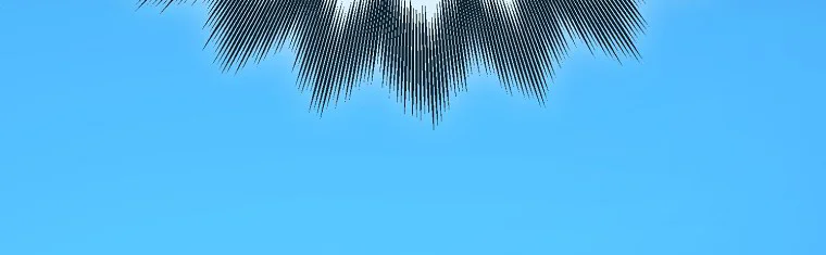 XUÂN PHONG VIÊN MÃN Chapter 91 Trang 5