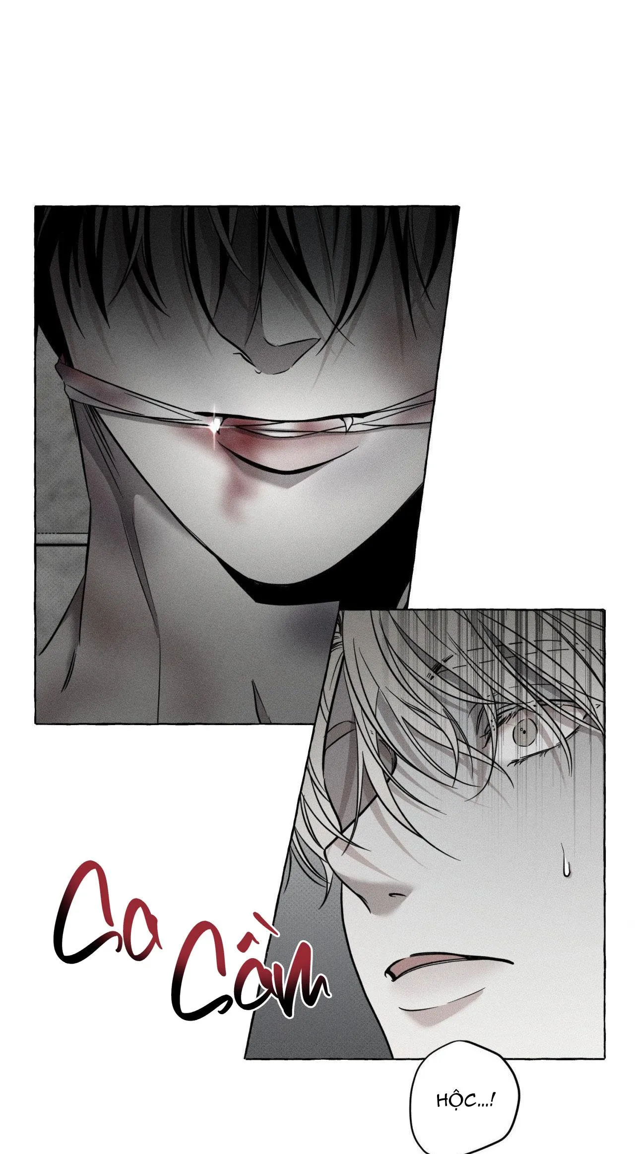 XƯƠNG VÀ CÁNH HOA Chapter 2 Trang 6