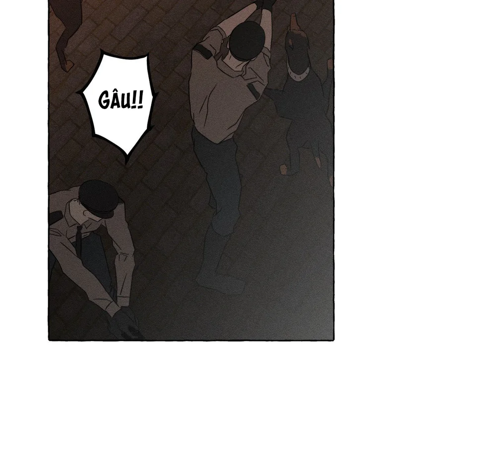 XƯƠNG VÀ CÁNH HOA Chapter 65 Trang 56