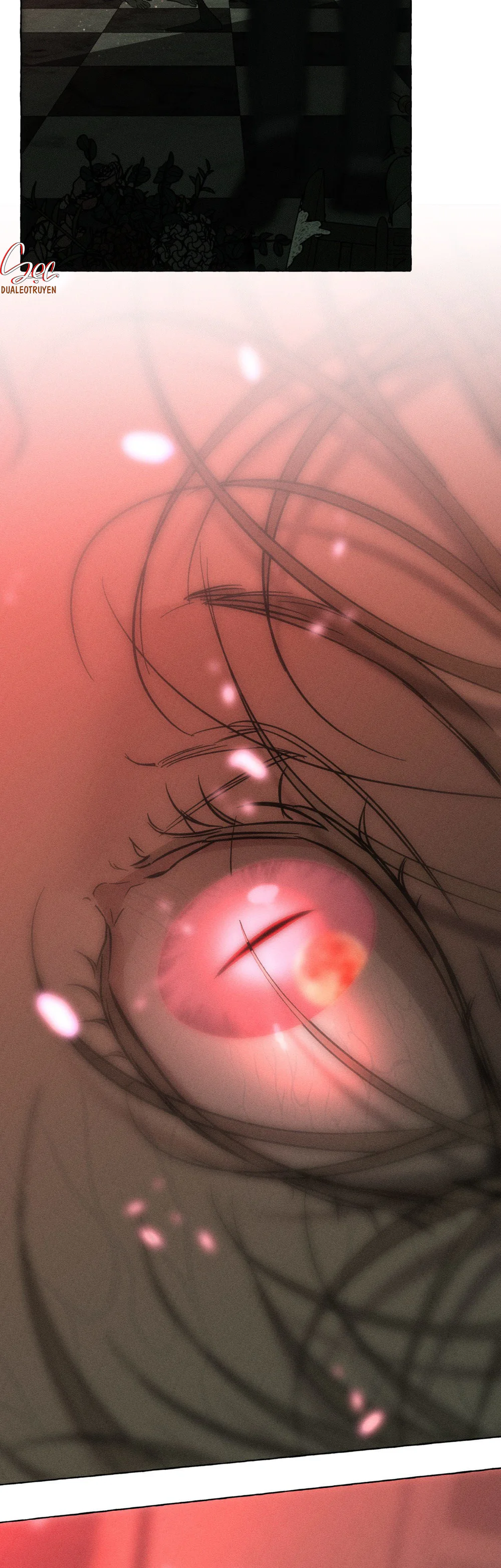 XƯƠNG VÀ CÁNH HOA Chapter 68 Trang 16