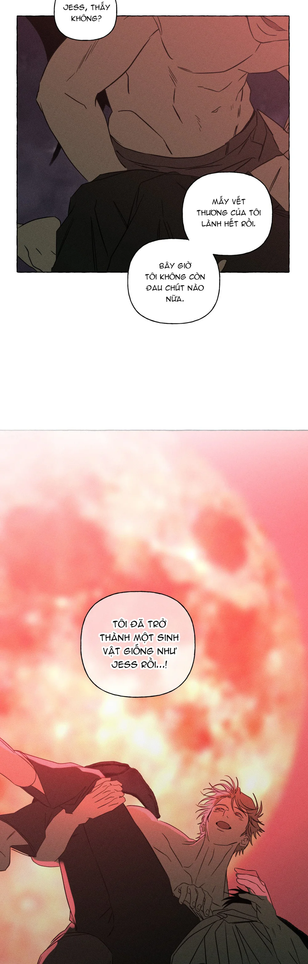XƯƠNG VÀ CÁNH HOA Chapter 68 Trang 37