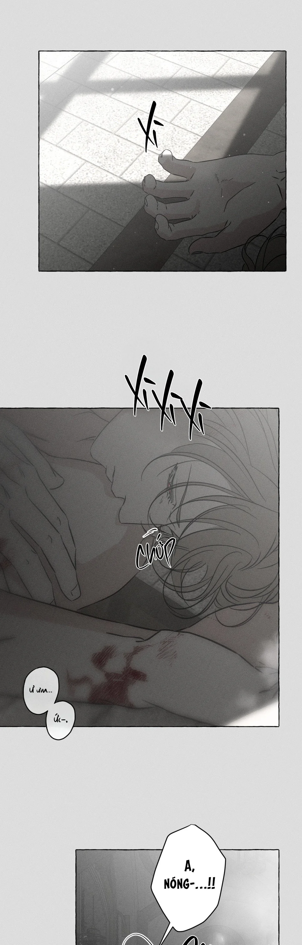 XƯƠNG VÀ CÁNH HOA Chapter 72 Trang 22