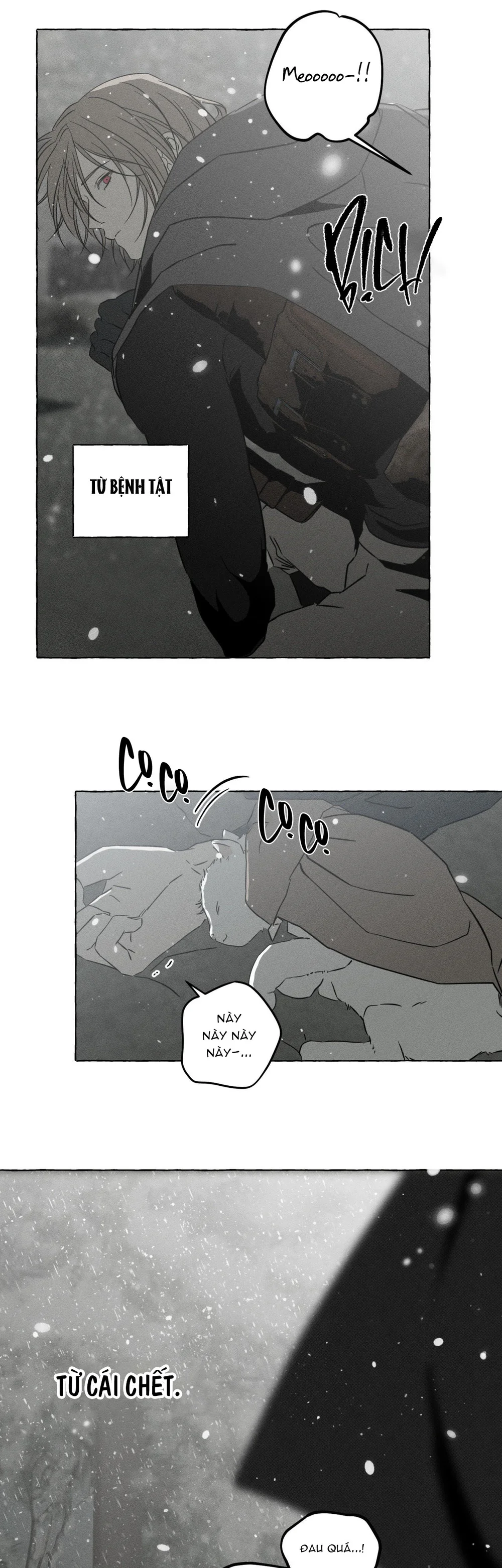 XƯƠNG VÀ CÁNH HOA Chapter 72 Trang 26