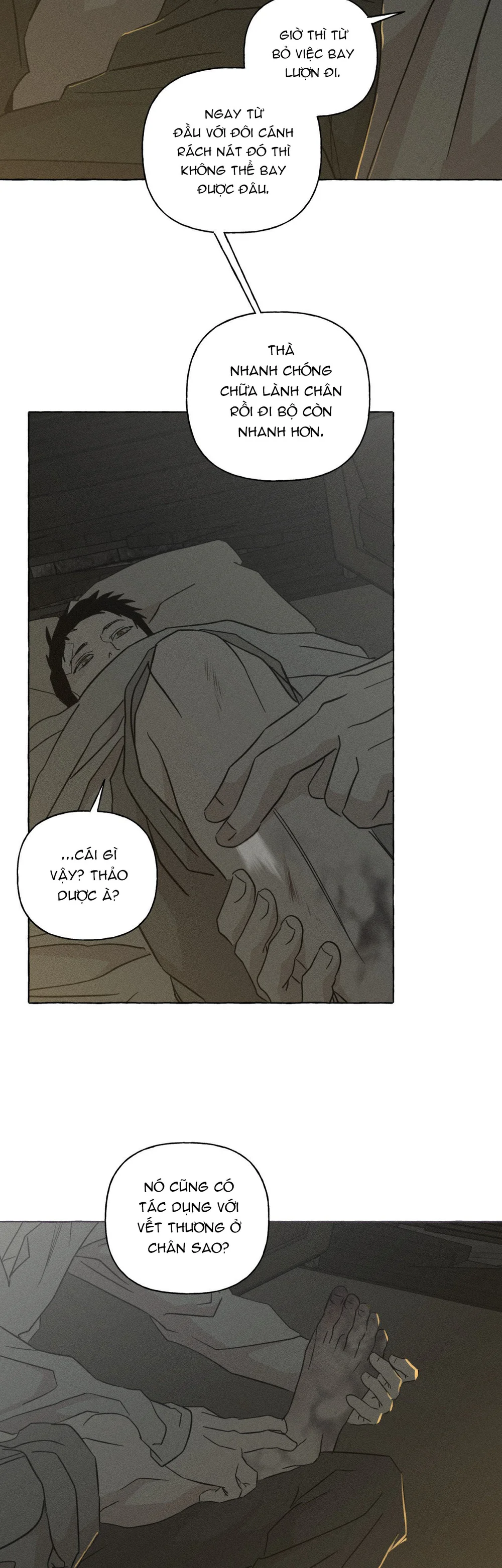 XƯƠNG VÀ CÁNH HOA Chapter 74 Trang 13