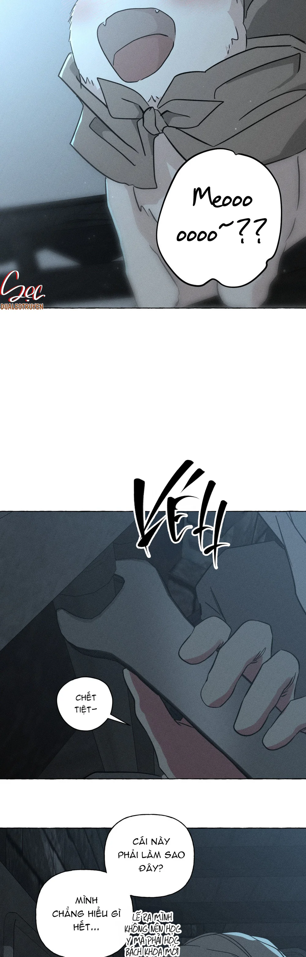 XƯƠNG VÀ CÁNH HOA Chapter 74 Trang 40