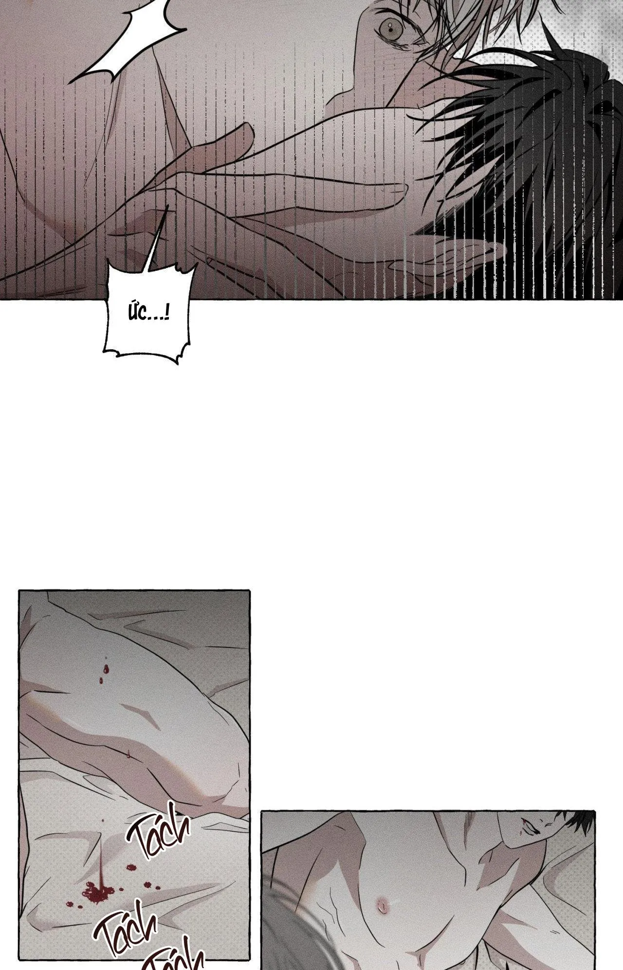 XƯƠNG VÀ CÁNH HOA Chapter 1 Trang 10