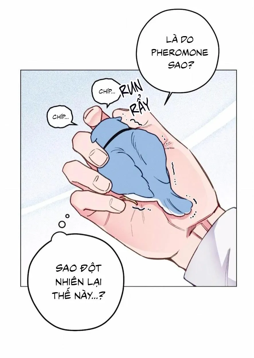 Xuyên Thành Bá Tước Omega Chapter 2 Trang 57